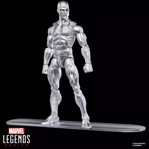 Marvel Legends Series Silver Surfer