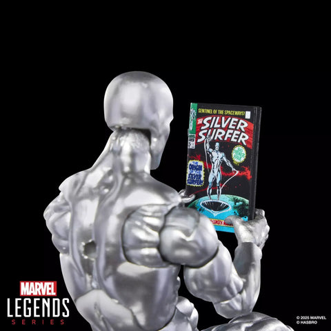 Marvel Legends Series Silver Surfer