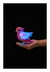 Little Live Pets Lil' Bird Series 13 Assorted