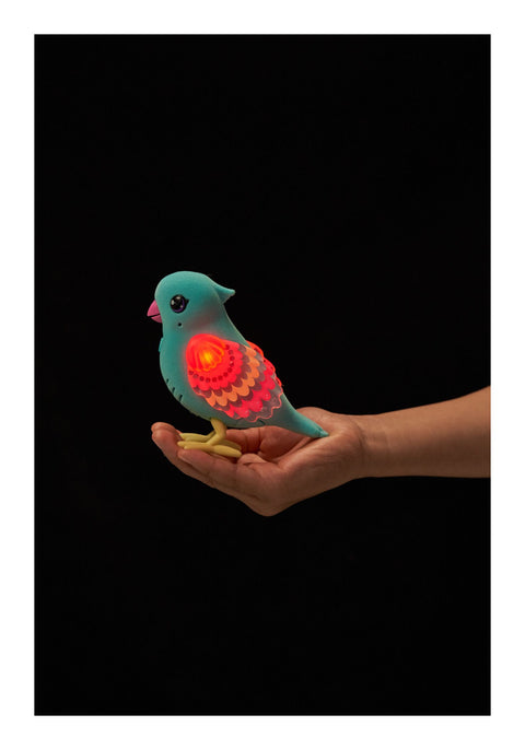 Little Live Pets Lil' Bird Series 13 Assorted